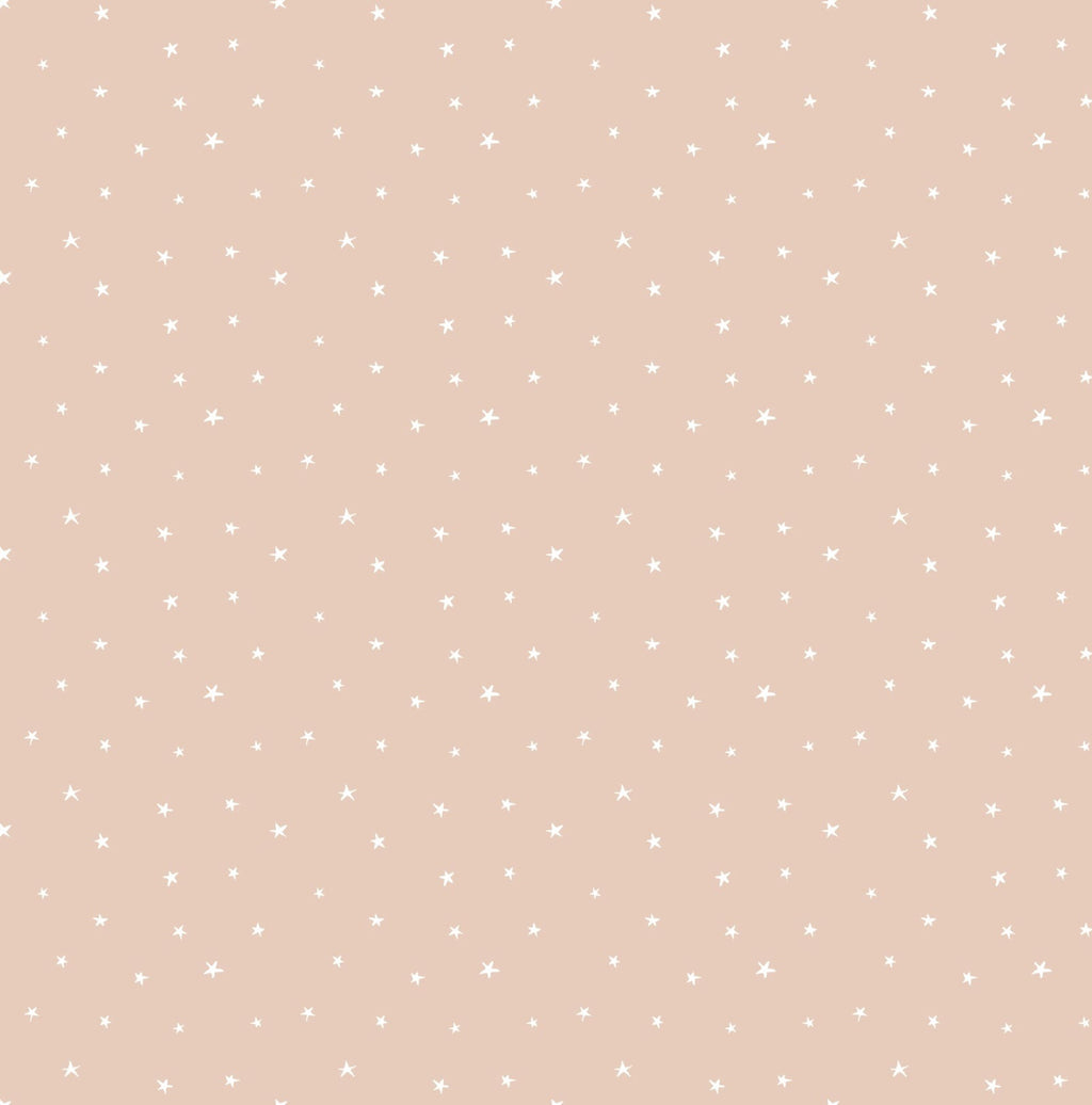 Aster Wallpaper by Micush