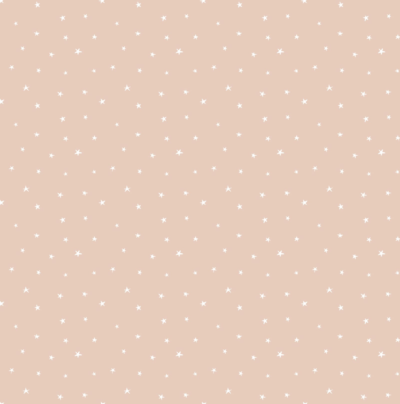 Aster Wallpaper by Micush